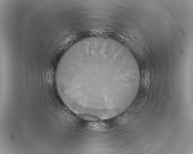 X0000115450712200912021006