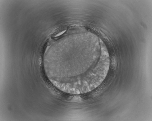 X0000115450715200912021006