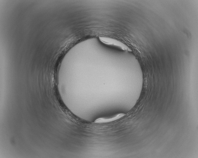 X0000115450716200912021006