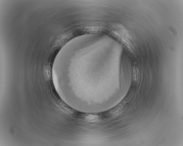 X0000115450718200912021006