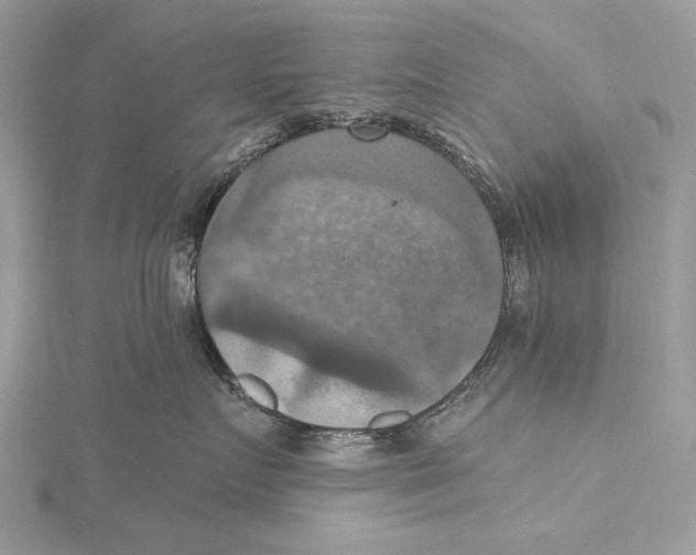 X0000115450719200912021006