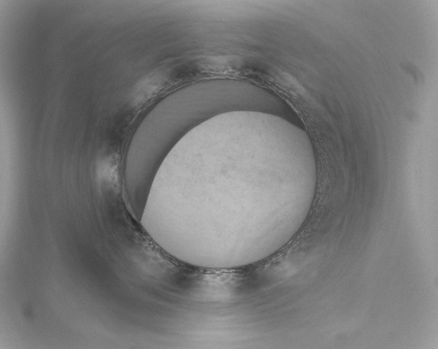 X0000115450720200912021006