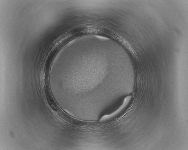 X0000115450722200912021005