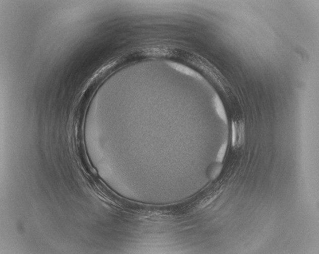 X0000115450723200912021005