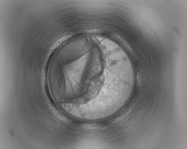 X0000115450725200912021005