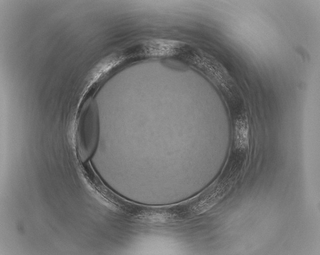 X0000115450726200912021005