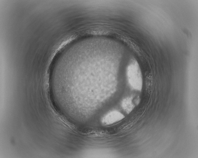 X0000115450727200912021005