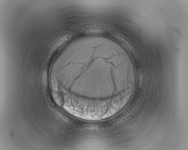 X0000115450729200912021005