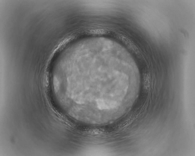 X0000115450731200912021005