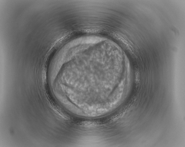 X0000115450733200912021005