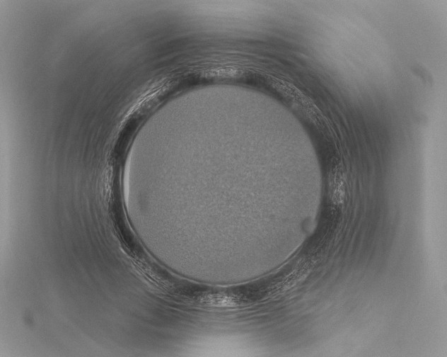 X0000115450735200912021005