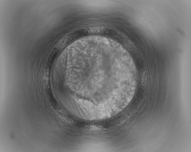 X0000115450737200912021005