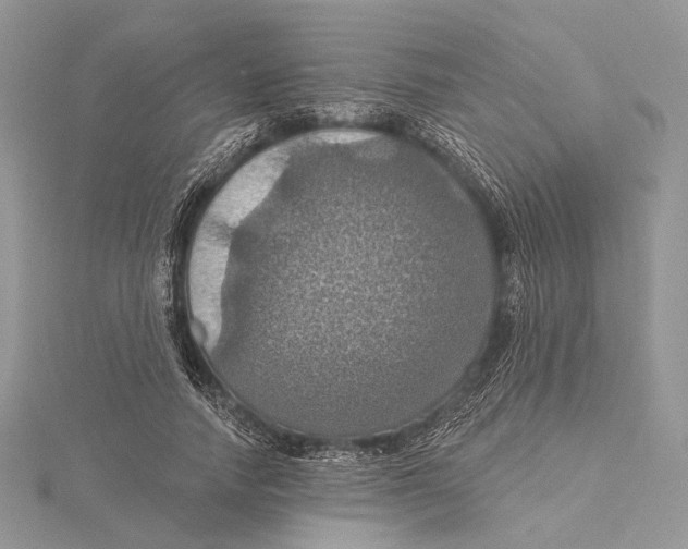 X0000115450738200912021005