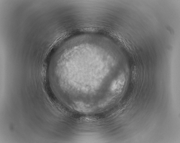 X0000115450739200912021005