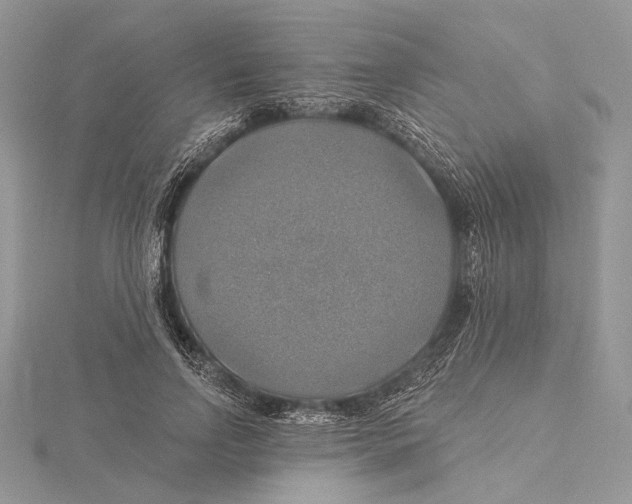 X0000115450742200912021005