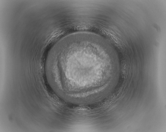 X0000115450743200912021005