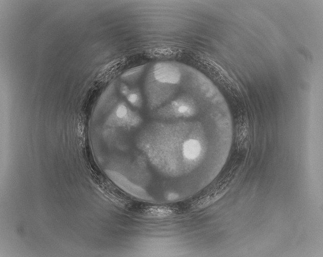 X0000115450749200912021005