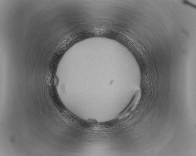 X0000115450750200912021005