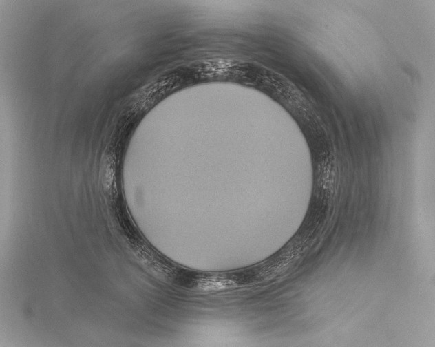 X0000115450754200912021005