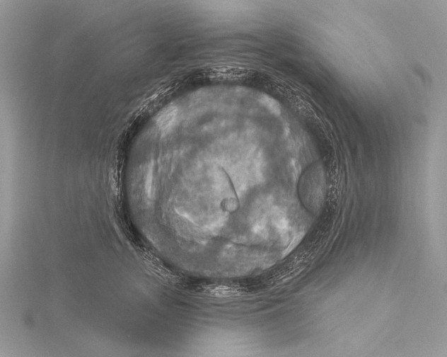 X0000115450755200912021005