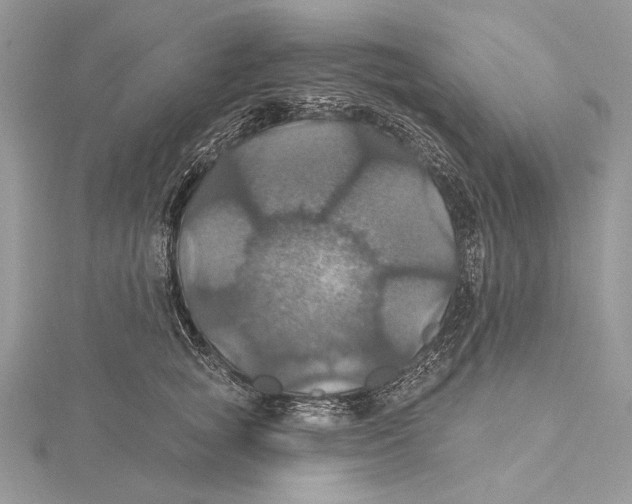 X0000115450757200912021006