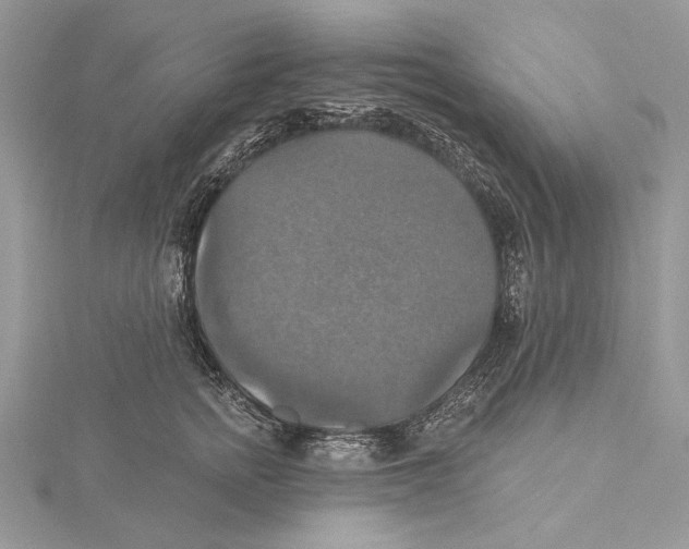 X0000115450758200912021006