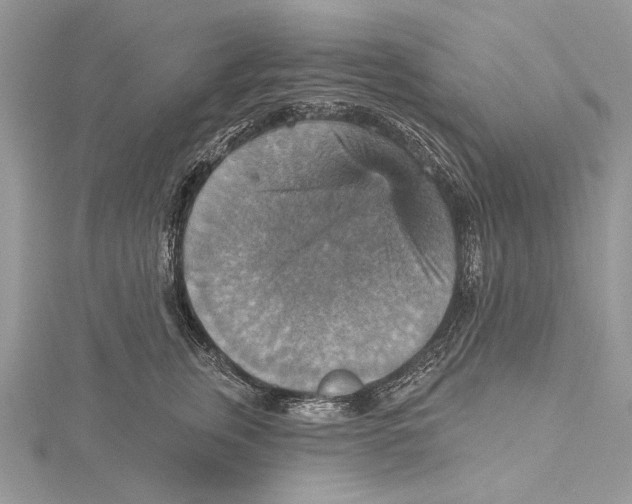 X0000115450759200912021006