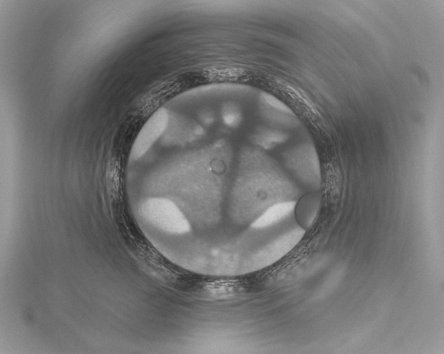 X0000115450761200912021006