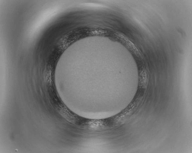 X0000115450762200912021006