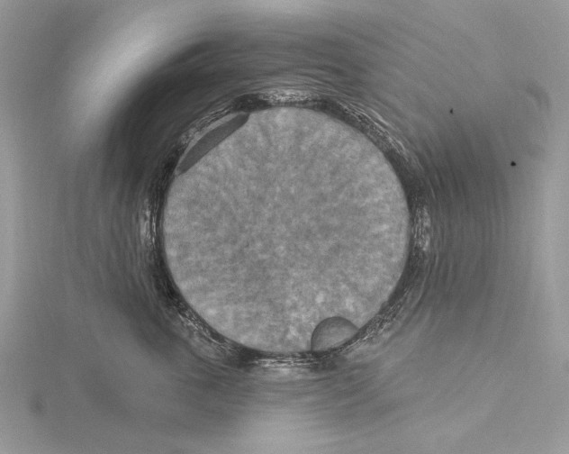 X0000115450763200912021006