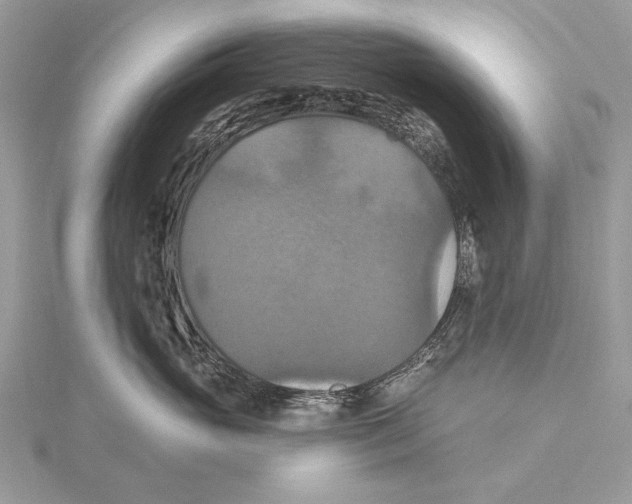 X0000115450765200912021006