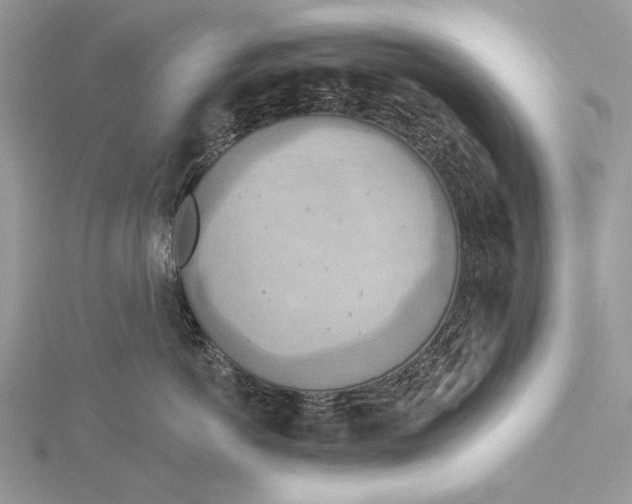 X0000115450766200912021006