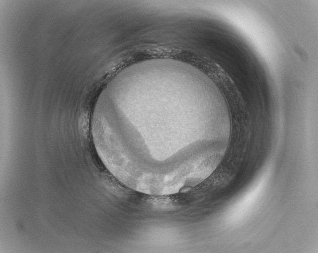 X0000115450767200912021006