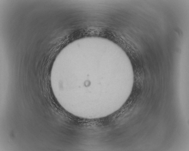 X0000115450769200912021005