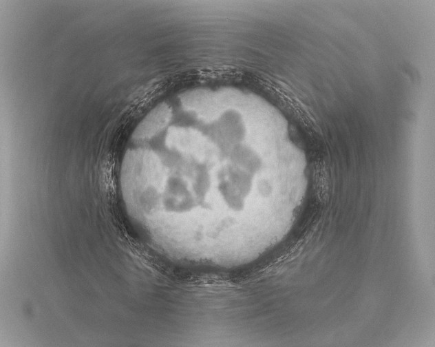 X0000115450770200912021005