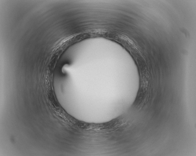 X0000115450773200912021005