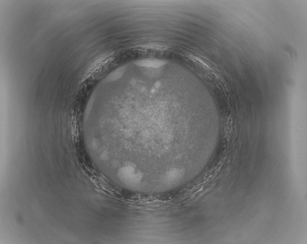 X0000115450774200912021005