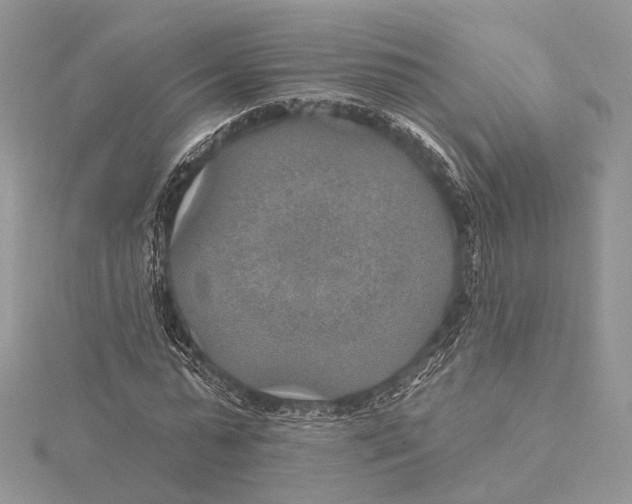 X0000115450775200912021005