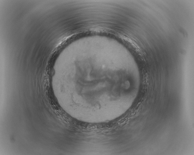 X0000115450776200912021005