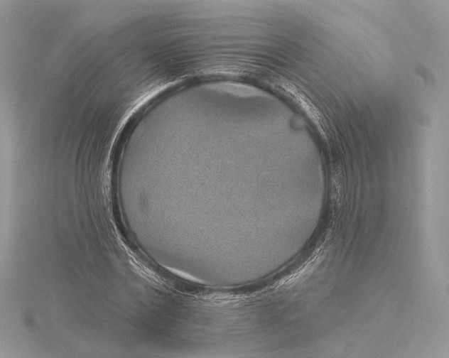 X0000115450779200912021005