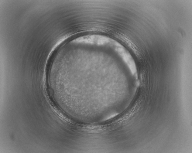 X0000115450780200912021005