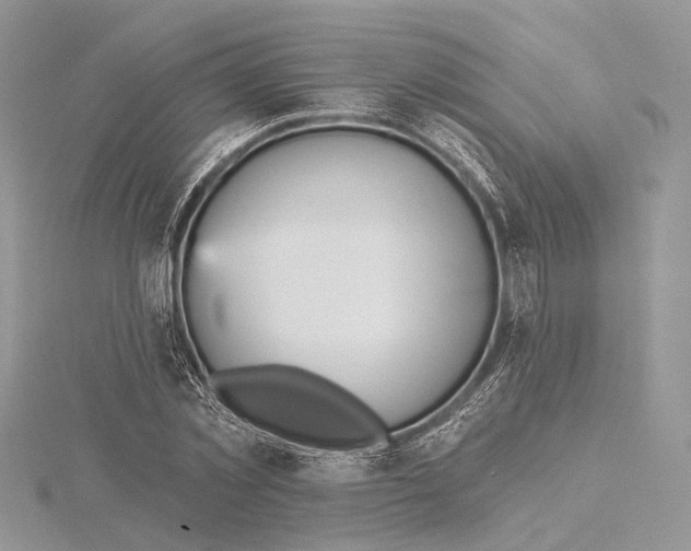 X0000115450781200912021005