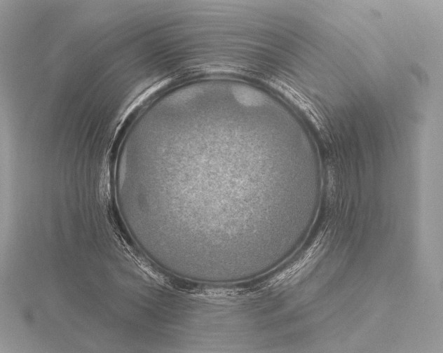 X0000115450782200912021005