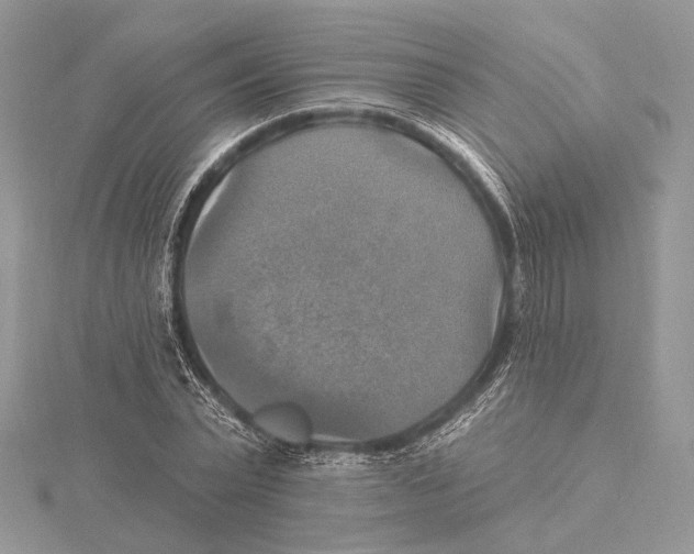 X0000115450783200912021005