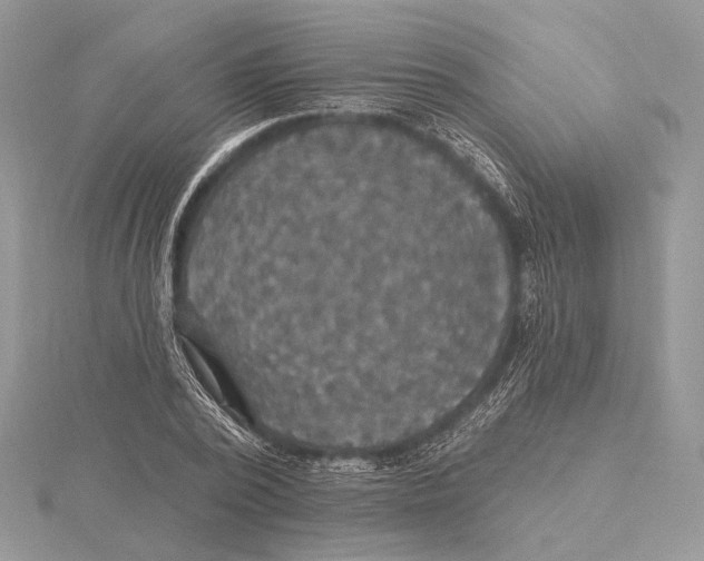 X0000115450784200912021005