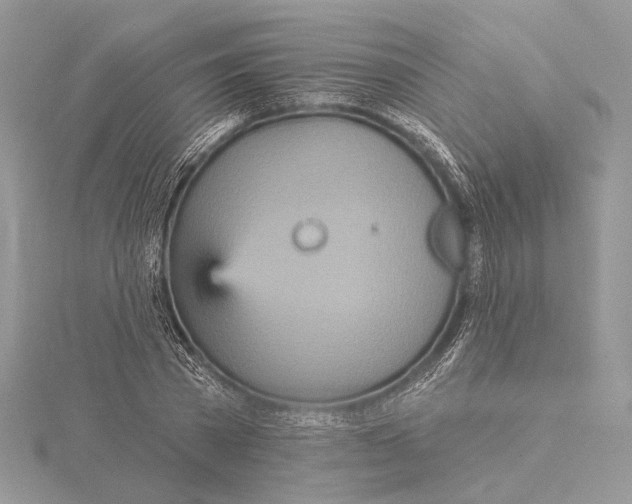 X0000115450785200912021005