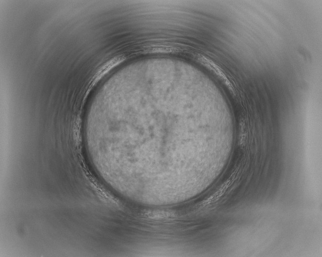 X0000115450786200912021005