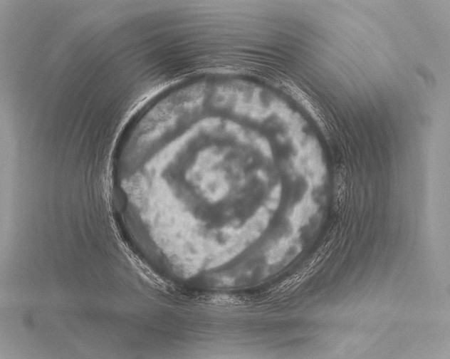 X0000115450787200912021005