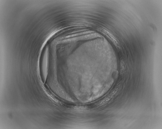 X0000115450788200912021005