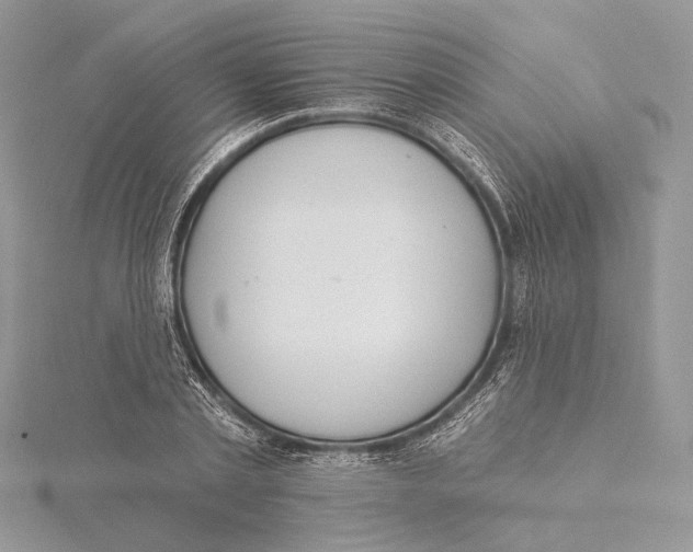 X0000115450789200912021005